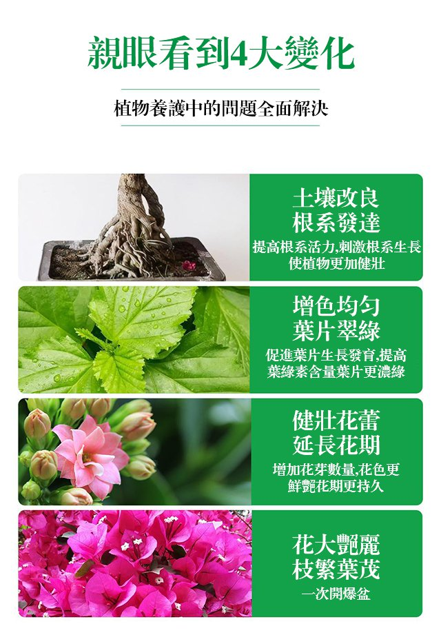 1703750335277543.png 73ed7db83c7a31e1d59f00ab751e955.png